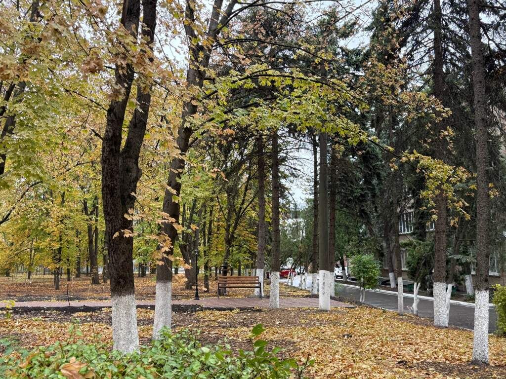    Фото Марии Проданец Валерия Стальная