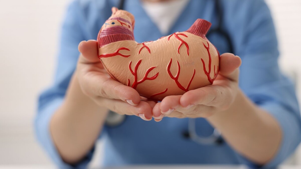 Активное долголетие без мифов: как питание и диагностика спасают желудок и нервы