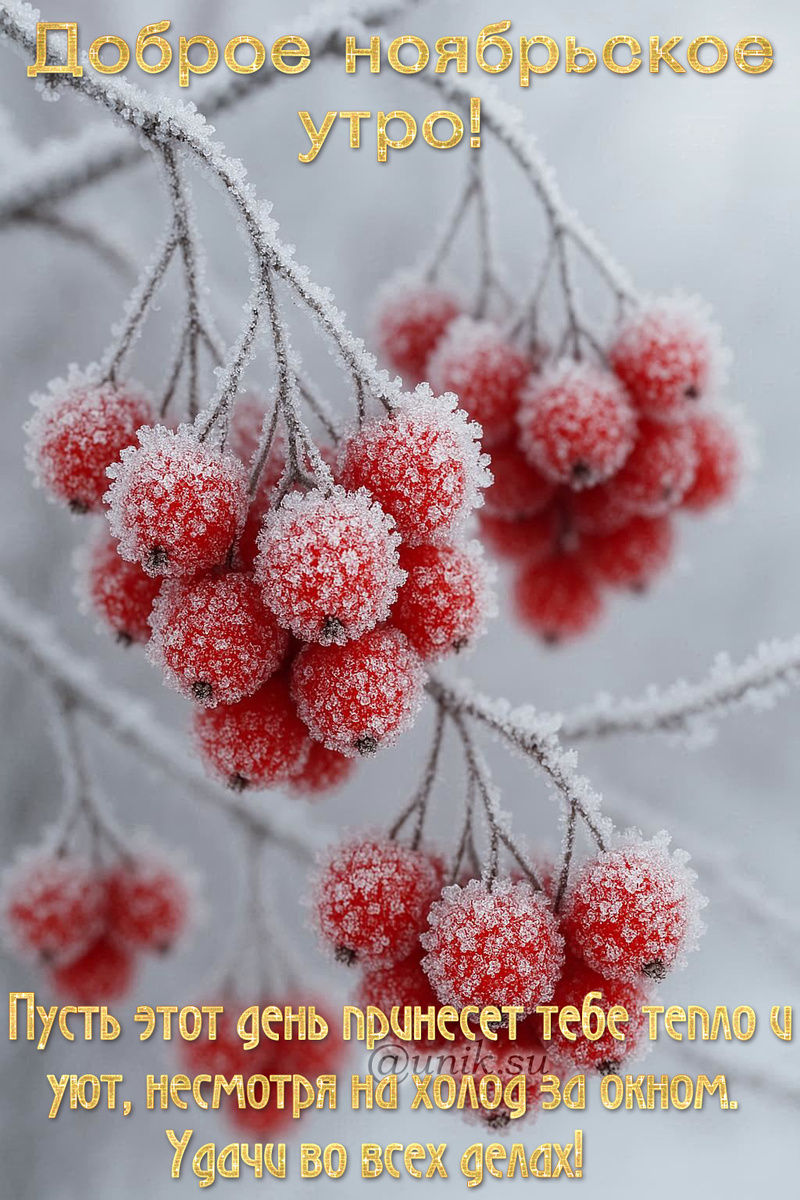 открытки с добрым ноябрьским утром
