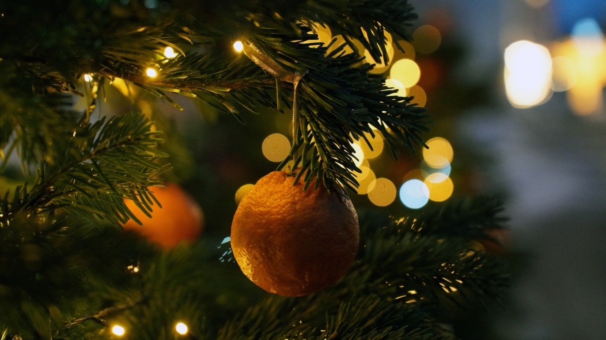 Фото: ИА SM-News📷
