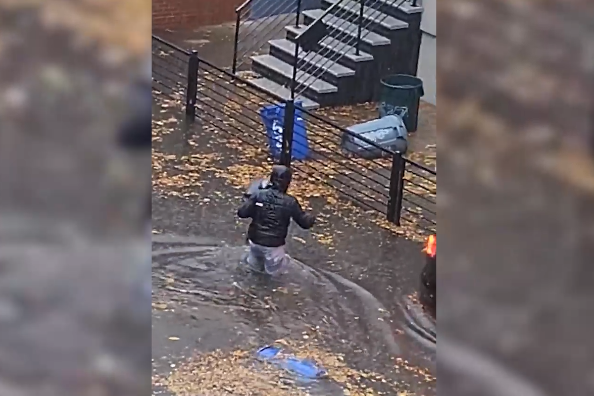     / Источник: Кадр из видео