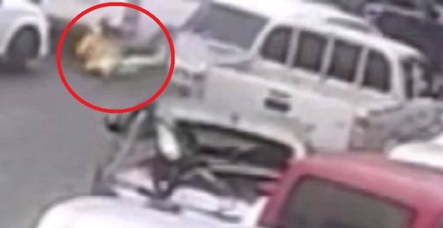    Источник фото: скрин видео