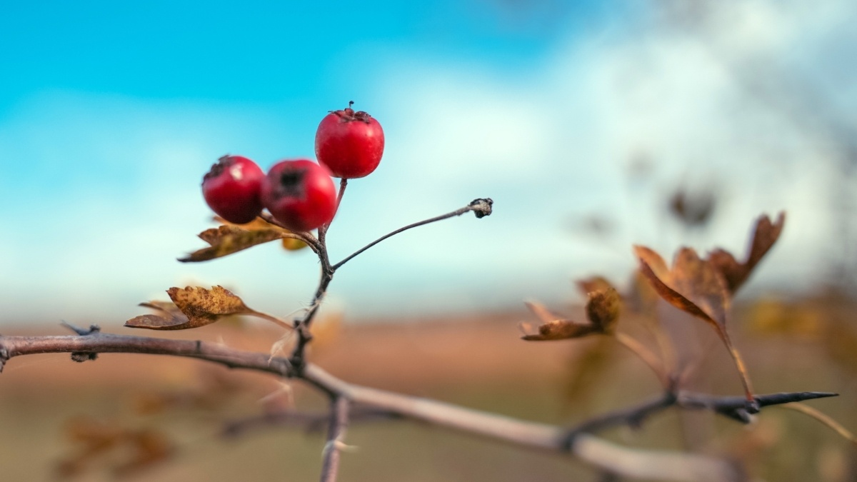 Фото: Светлана Мулыкина📷

