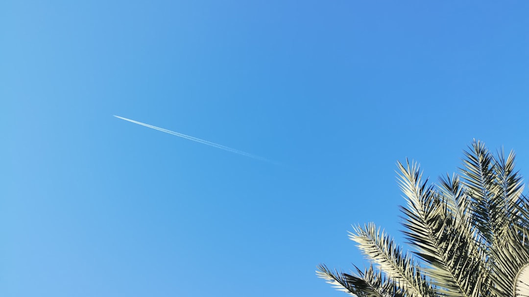    Суд по делу «Библио-Глобус» vs Express Airline: иск на $6 млн, заседание перенесено на апрель 2026