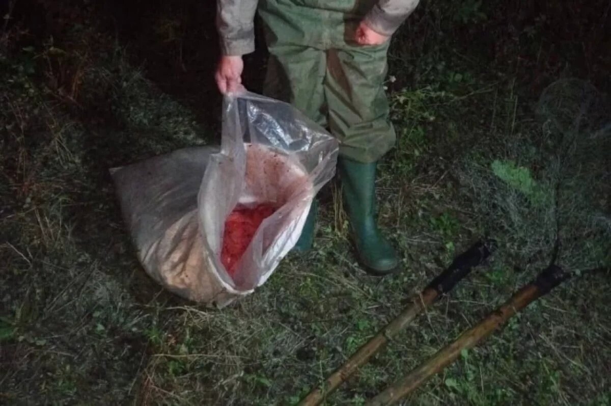   На Камчатке браконьеры бросили на берегу реки мешки с 30 кг икры