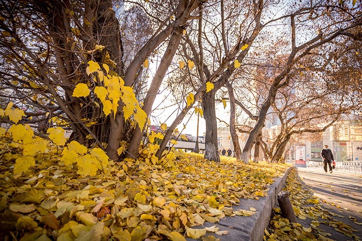    Фото Андрея Заржецкого