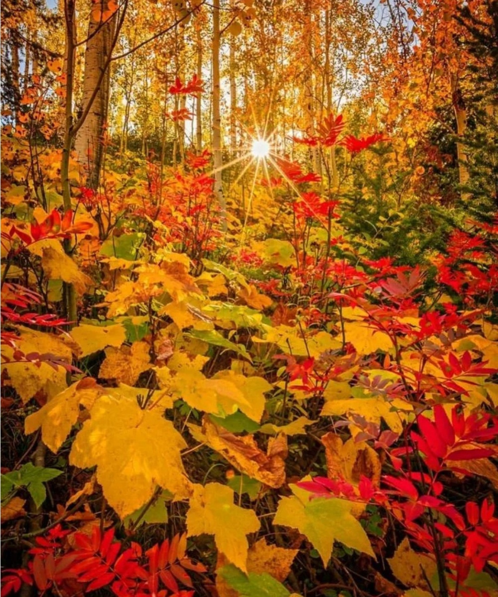 С просторов интернета