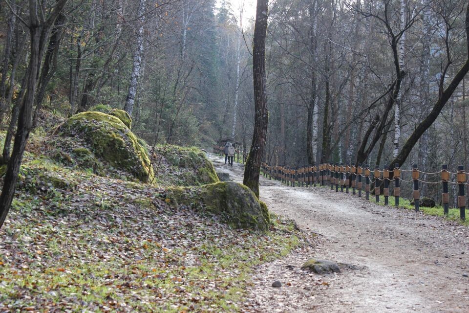   Терренкур "Старая мельница" в Белокурихе. Источник: Евгения Кочеткова/"Толк"