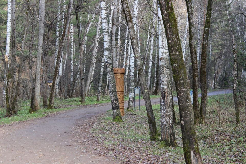    Терренкур "Старая мельница" в Белокурихе. Источник: Евгения Кочеткова/"Толк"