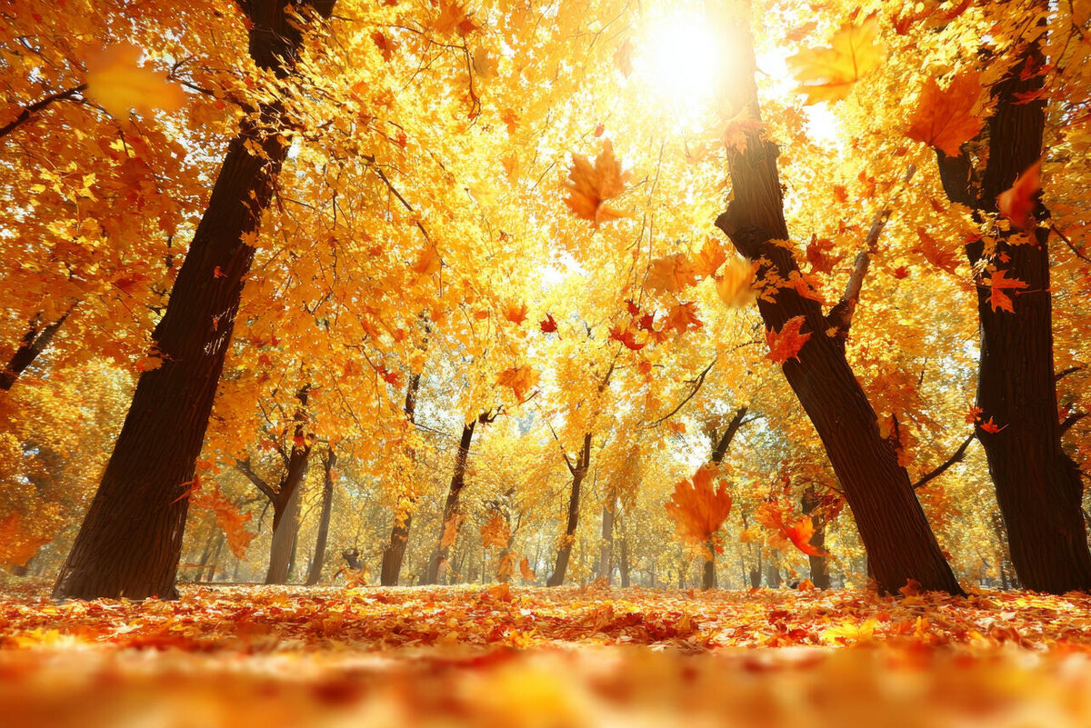    Октябрь 123RF/legion-media.ru