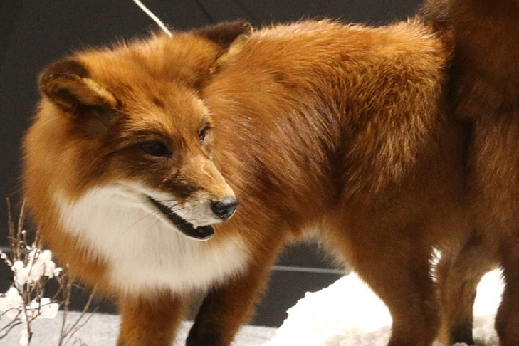    Фото из архива VN.ru