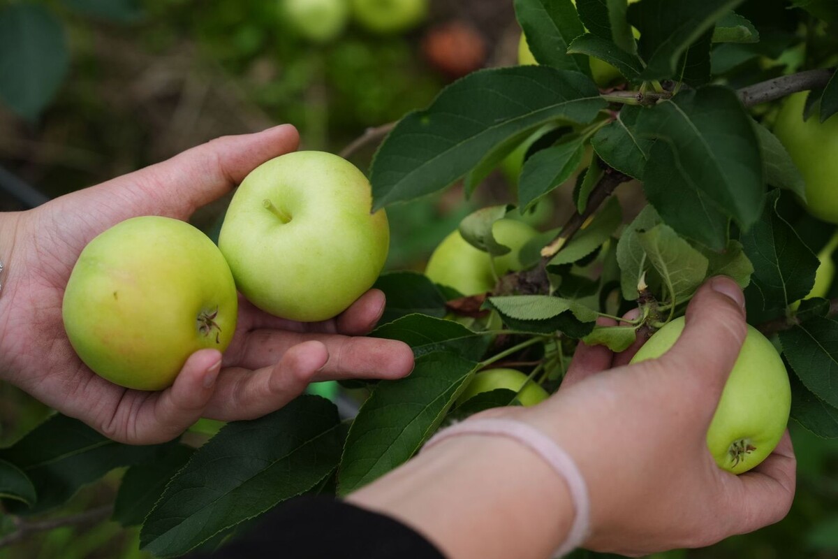     / Источник: © ИЗВЕСТИЯ/Эдуард Корниенко