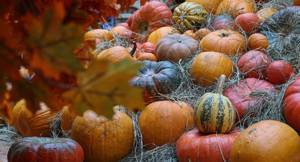    Bulkin Sergey/news.ru / www.globallookpress.com