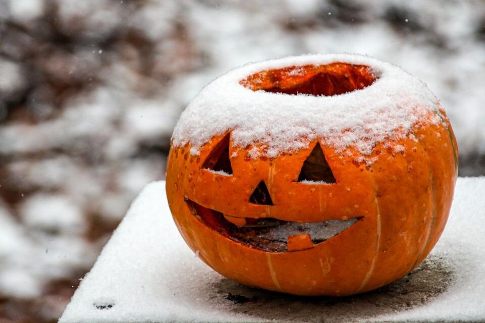    Lantyukhov Sergey/news.ru / www.globallookpress.com