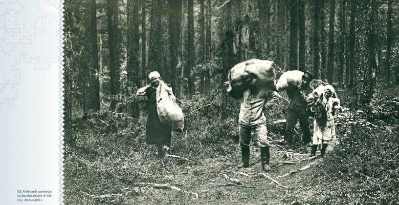 Кедровый промысел. Из фондов ИОКМ.