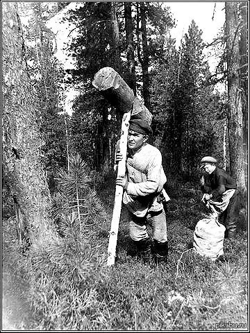 Одноручный кий.