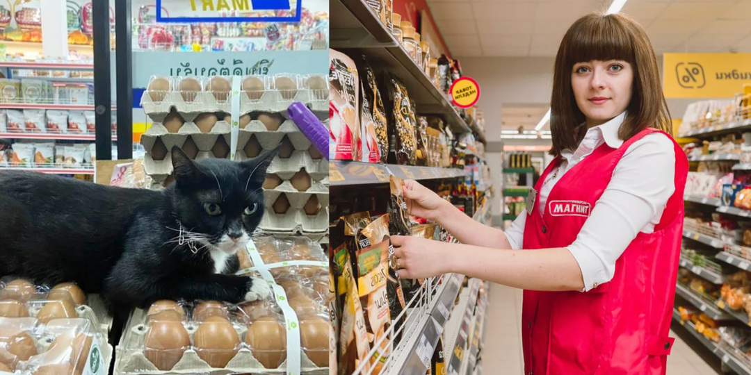 «9 лет работаю в Магнит»: Разоблачаю, какие продукты нельзя покупать и как сэкономить до 30% (откровения продавца)