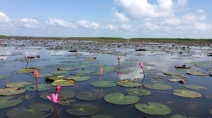 Озеро Пратхонг Тхале (Prathong Thale Lake)