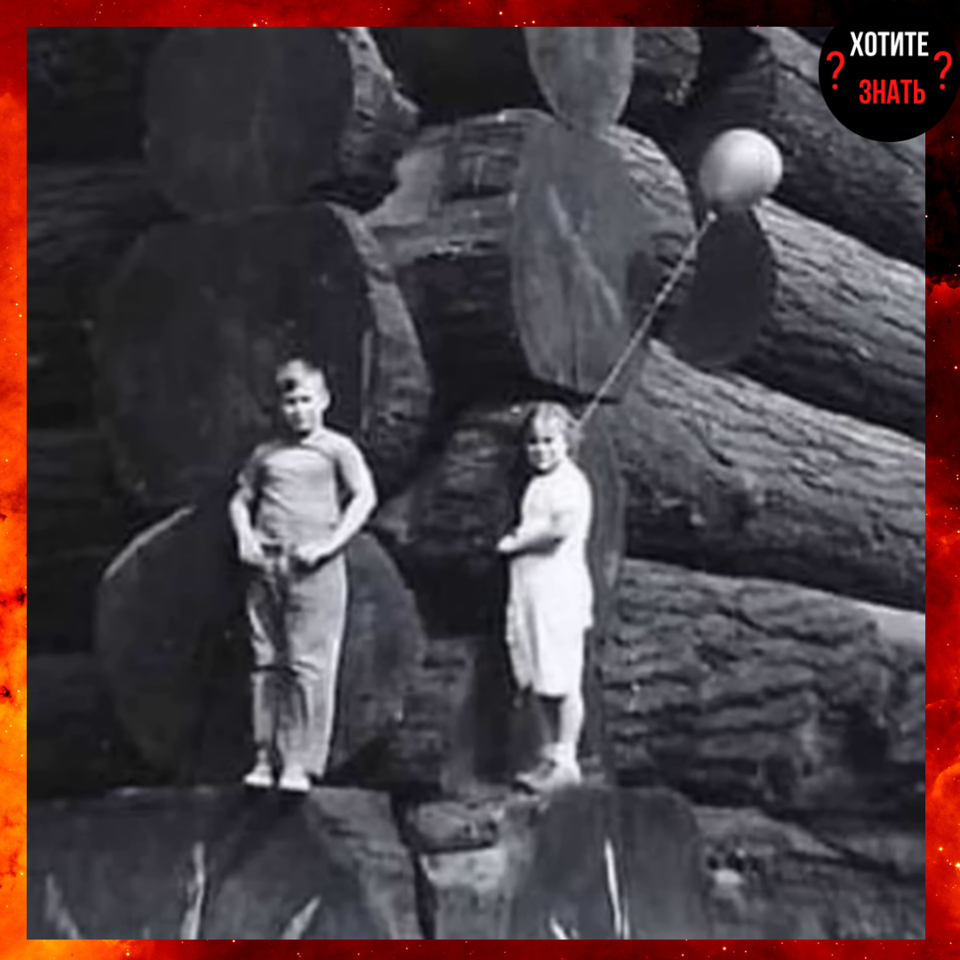 Дети на фоне гигантского сруба