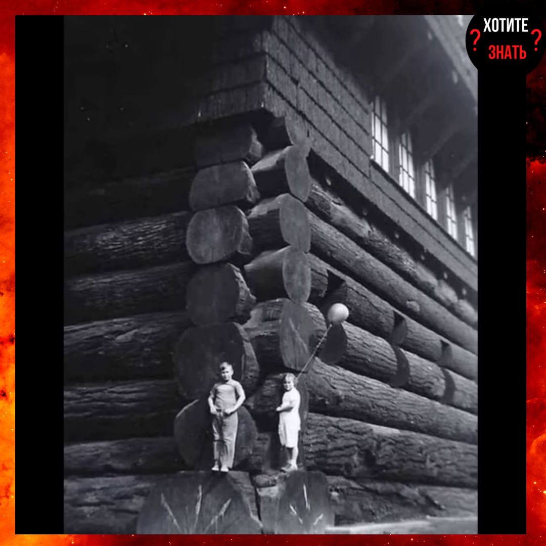 Дети на фоне гигантского сруба