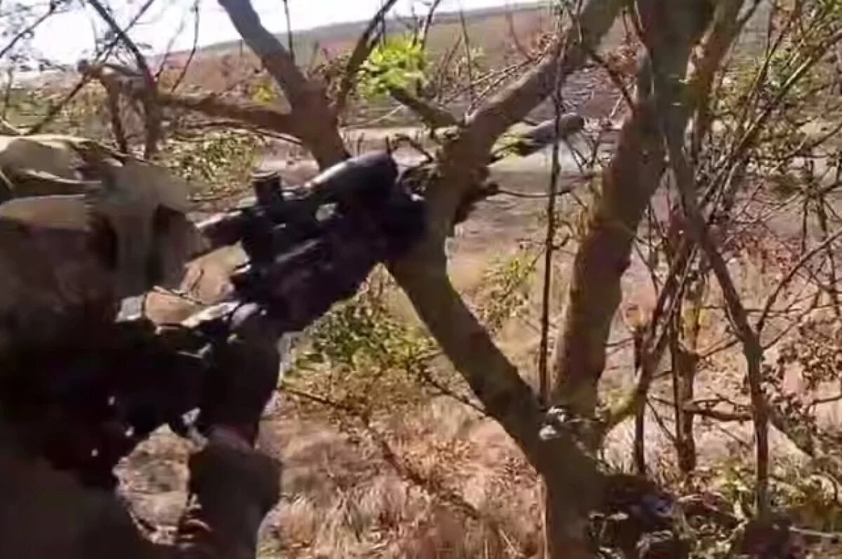    Генерал Попов: французы, поляки и румыны служат снайперами в ВСУ