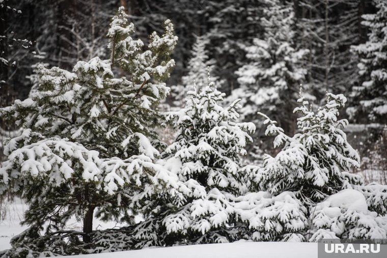    Местность в месте исчезновения семьи сложная, сказали гиды (архивное фото)