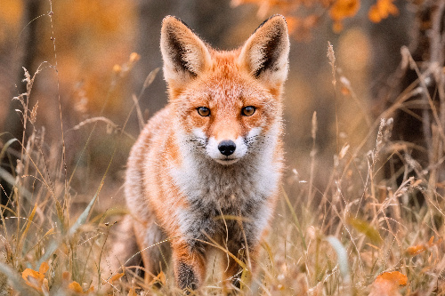    Фото: freepik. com