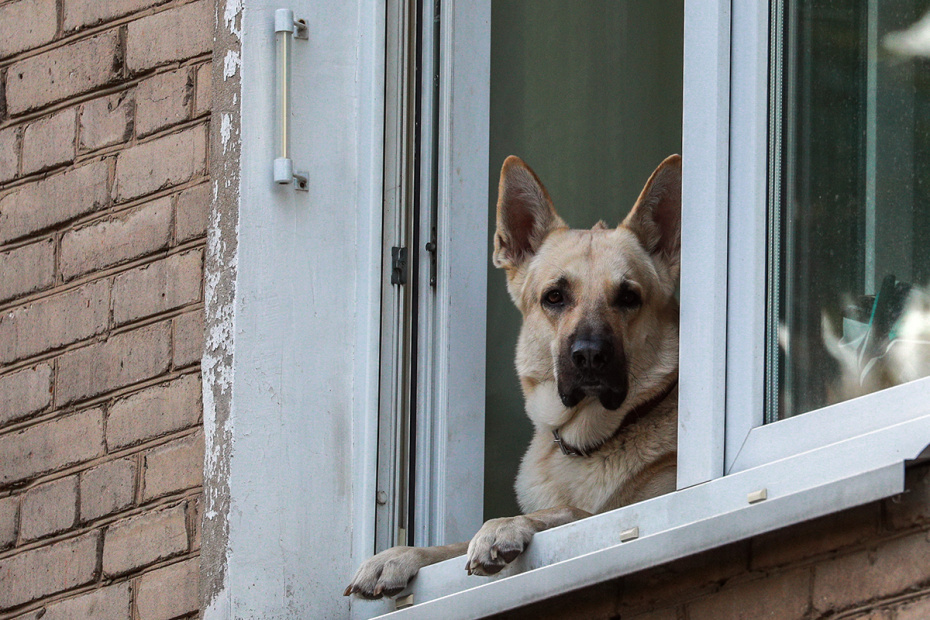    Сергей Булкин/NEWS.ru