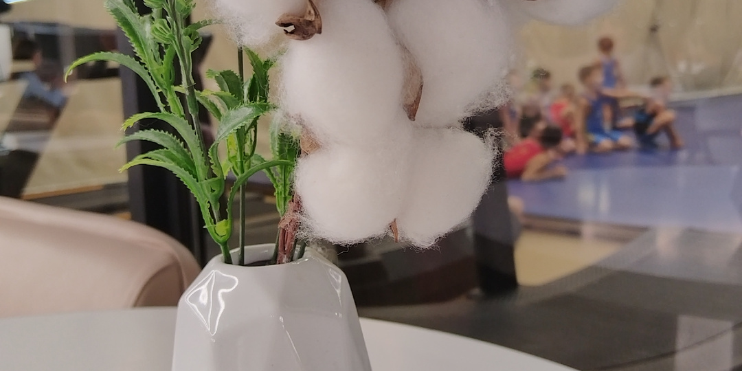 Дорого вас содержать! (Короткая история из жизни. Подслушано. Коротко.)