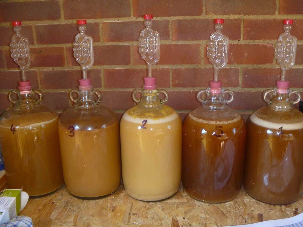 Яндекс картинки