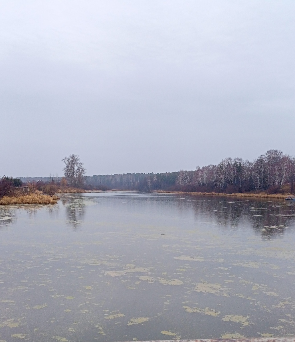 Фото автора канала "Волнушка"
