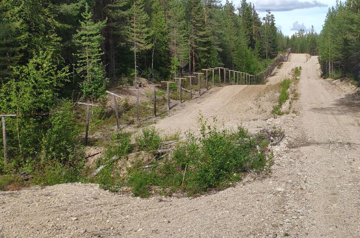    фото: © Столица на Онего