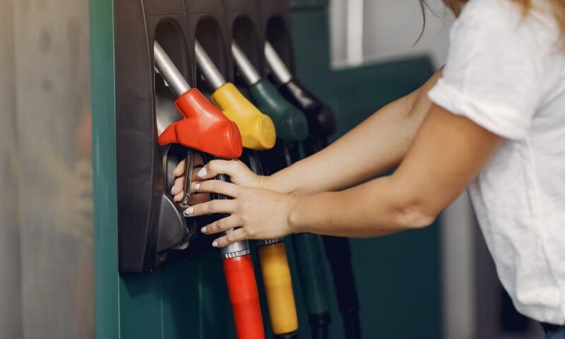    Фото freepik.com