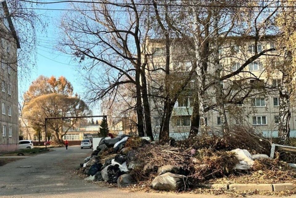    Уборка площадок для сбора ТКО. Источник: duma-barnaul.ru