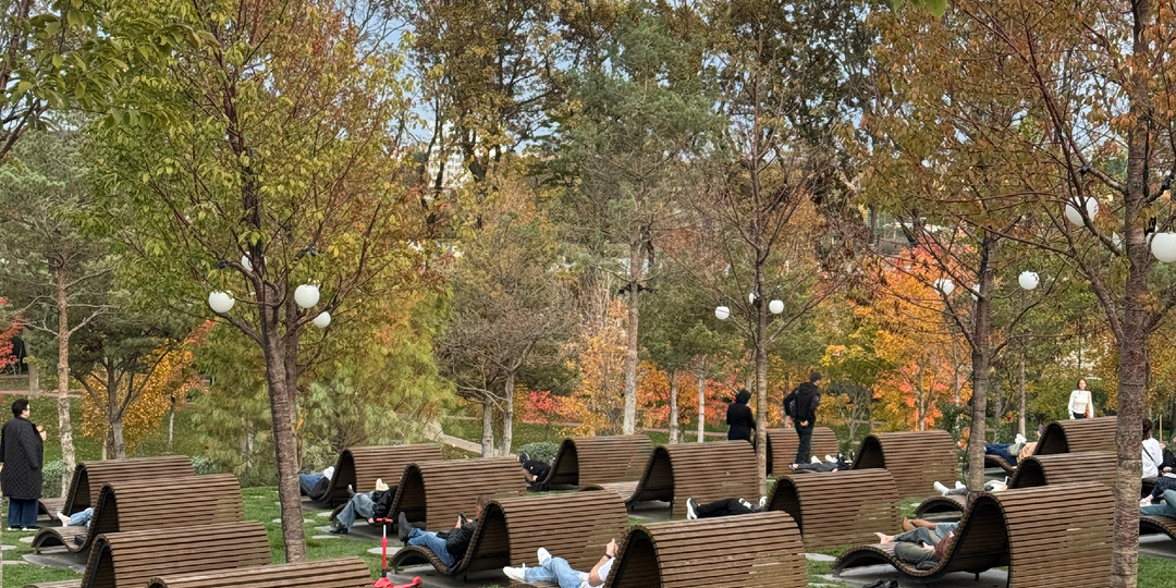 Обратная сторона Краснодара. Что меня удивило?