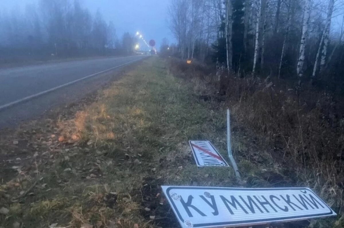    В Кондинском районе пьяный водитель попал в ДТП и скрылся с места аварии