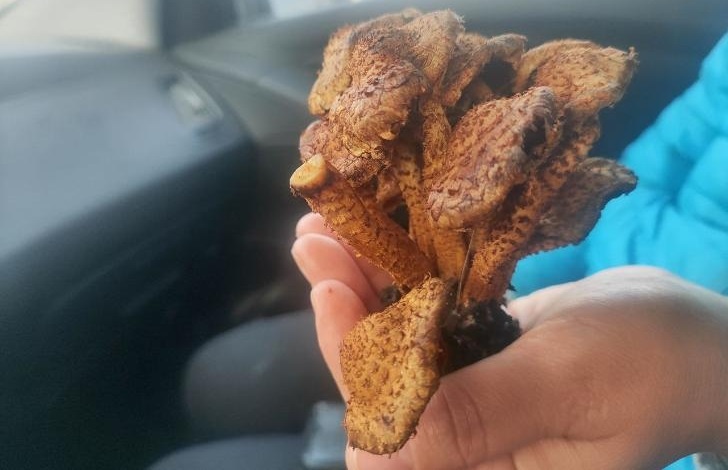    Фото: Пруфы