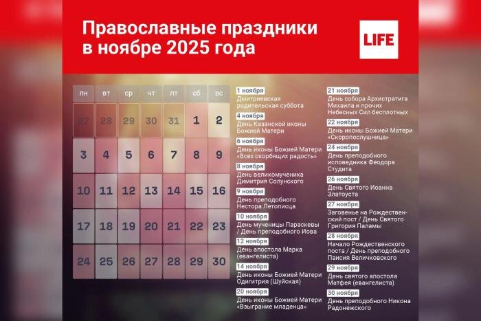 Православные праздники в ноябре 2025 года: какими они будут и как их можно отмечать. Фото © Life.ru