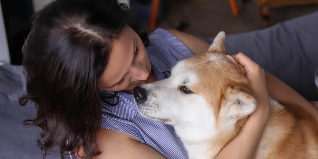 Кратенько – про обнимашки с собакой