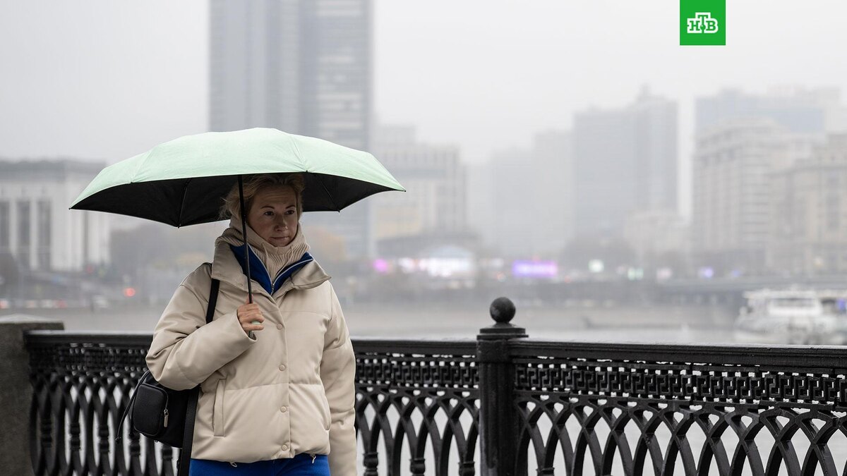    Фото: РИА Новости © 2025, Владимир Астапкович