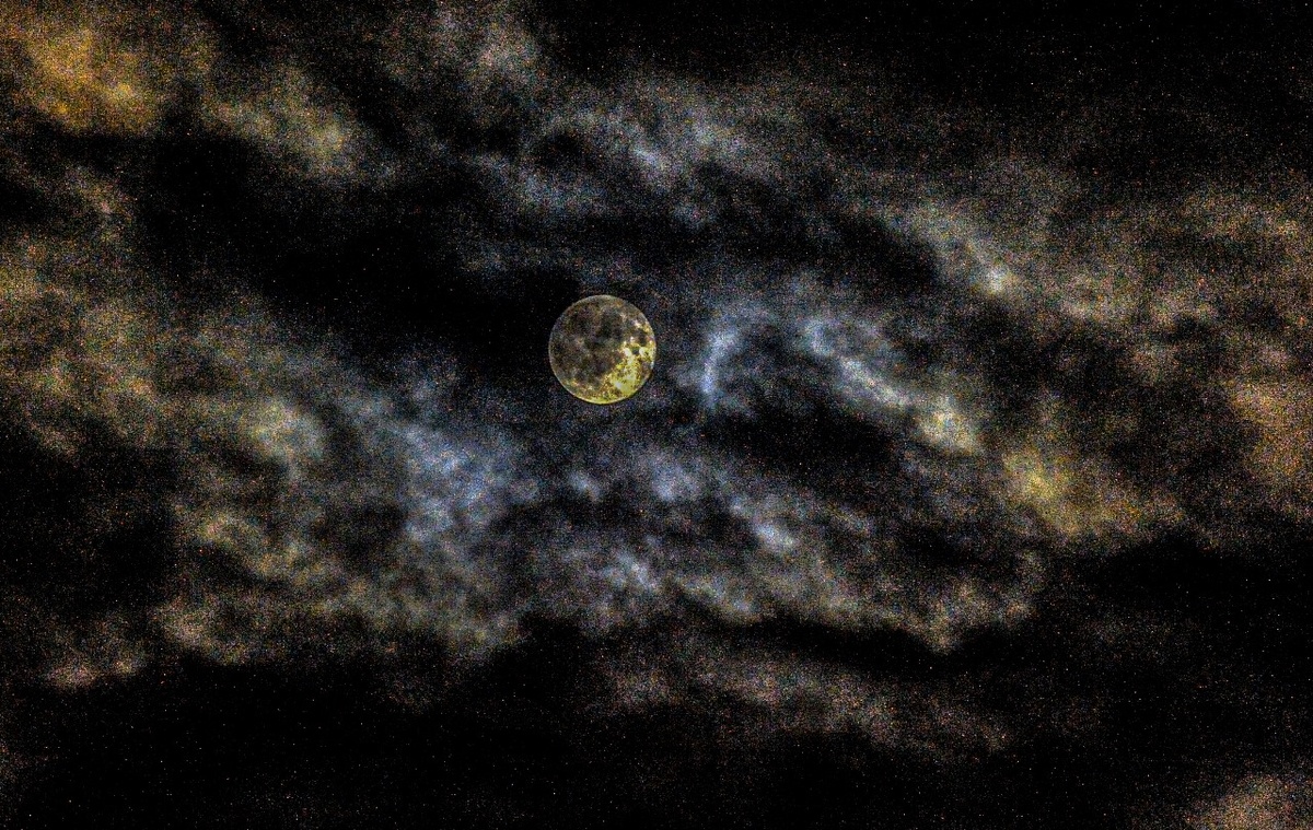     Автор фото: Виталий ГАРКУША (архив)