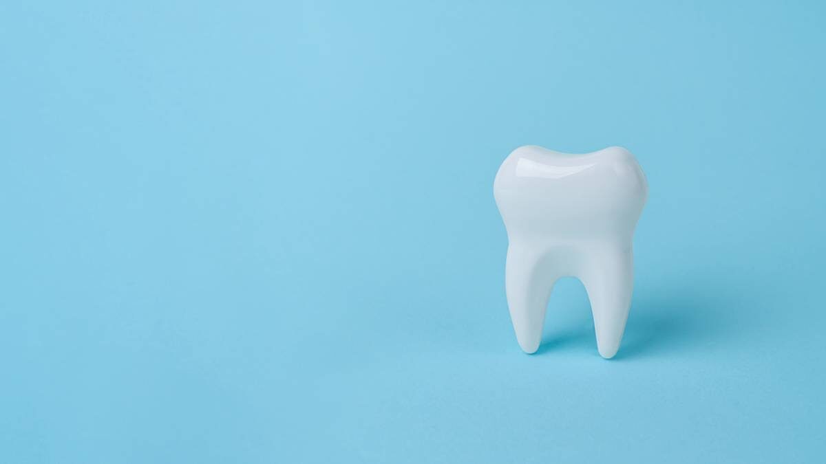    Фото: Shutterstock