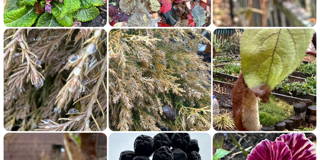 Прогулки под дождем