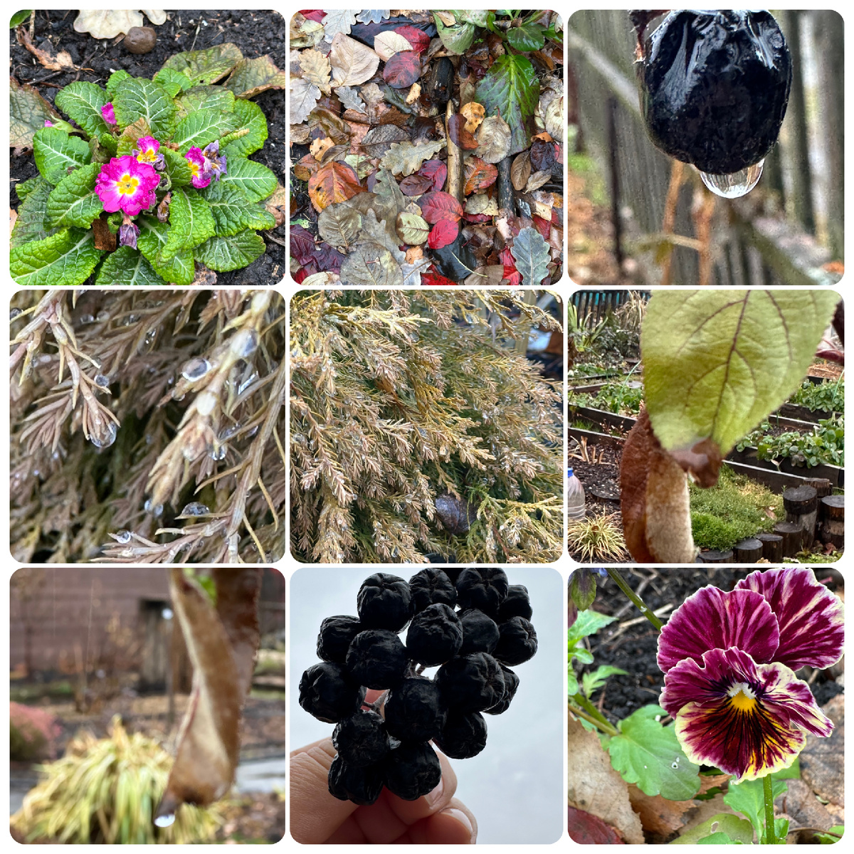 Осенние краски