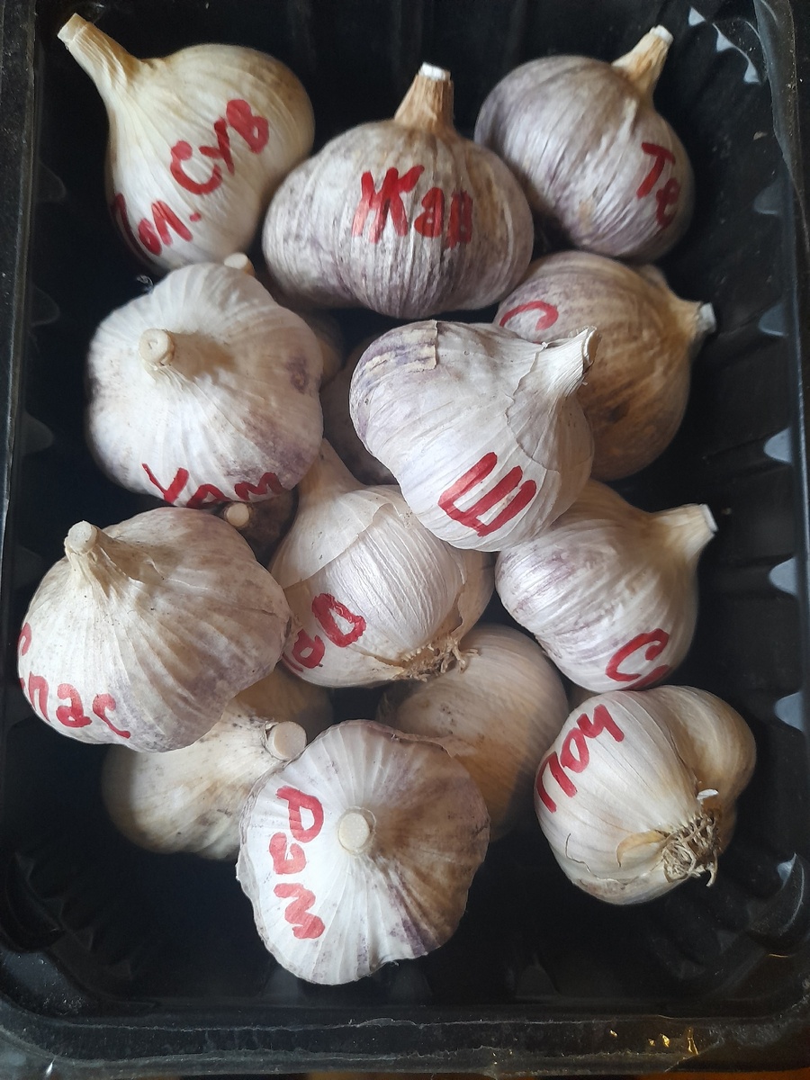 Головки подписаны маркером