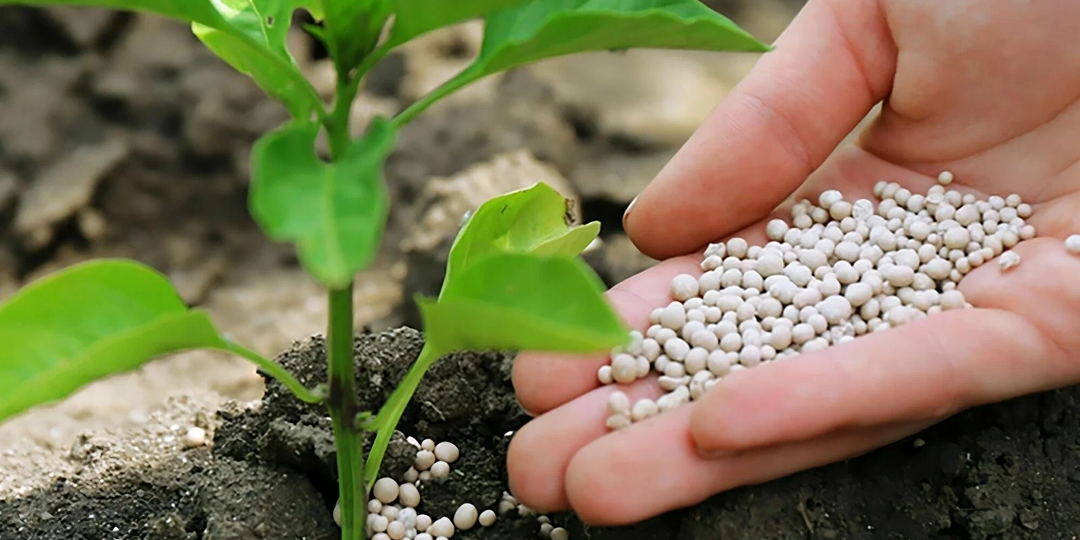 Про удобрения-кратко и понятно