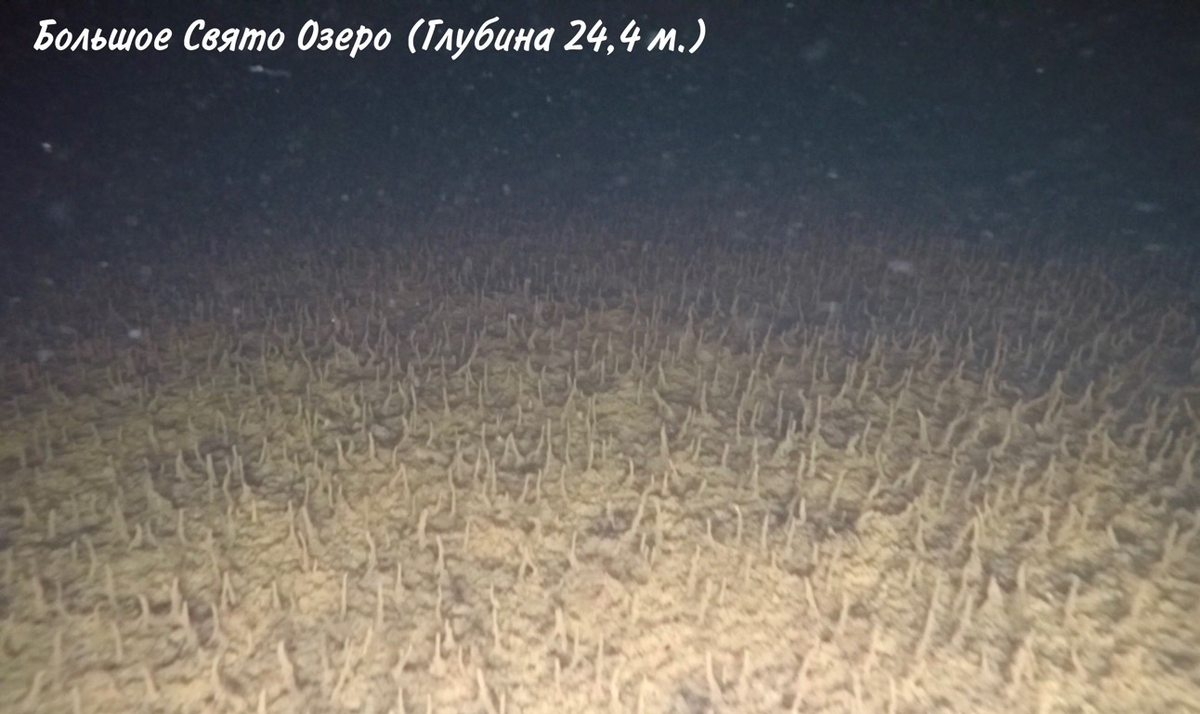 Экспедиция на озеро Большое Святое: 
загадки подводного мира🤿

Приветствуем вас, любители приключений и тайн природы!

Сегодня мы поделимся результатами нашей экспедиции на озеро Большое Святое — живописный водоём в Нижегородской области (Навашинский округ), неподалёку от деревни Дедово. Это место давно притягивает исследователей и туристов: оно не только радует красотой, но и хранит множество загадок.

 Легенды озера🛕

Большое Святое окутано преданиями. Самая известная легенда рассказывает о затонувшем храме, который якобы покоится на дне. Местные жители порой делятся удивительными историями о видениях крестов и куполов в глубинах озера, а также о чудесных явлениях, связанных с этим местом.

 Ход экспедиции🤿

В 2024 году мы организовали масштабное исследование озера. Работа продолжалась более месяца и включала:
* подводные погружения;
* сканирование дна эхолотом;
* съёмку с помощью специализированного подводного аппарата.

Что мы обнаружили🔎

Результаты превзошли ожидания. На дне озера нам удалось зафиксировать:
* разнообразные артефакты;
* геологические разломы;
* закопанный сруб (подробности об этой находке — в следующих публикациях).

Рекордная глубина⚓️

Особого внимания заслуживает самое глубокое место озера — **24 м**. На фото вы можете увидеть кадры, сделанные на этой отметке. Примечательно, что большинство водолазов ограничиваются погружениями до **10 м** — причины этого пока остаются для нас загадкой.

Ключевым достижением стало преодоление плотного слоя термоклина. Это позволило впервые получить снимки с максимальной глубины водоёма, приоткрыв завесу над его потаёнными уголками.

Мы продолжим изучать Большое Святое и делиться с вами новыми открытиями. Следите за обновлениями!
#озероСвято