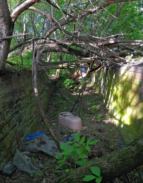 Так канал выглядит сегодня