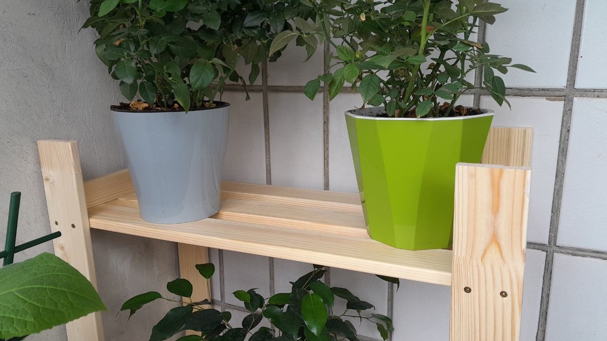 На фотографии зеленый горшок кажется больше почему-то.