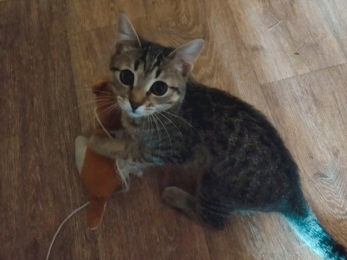 Фото автора.